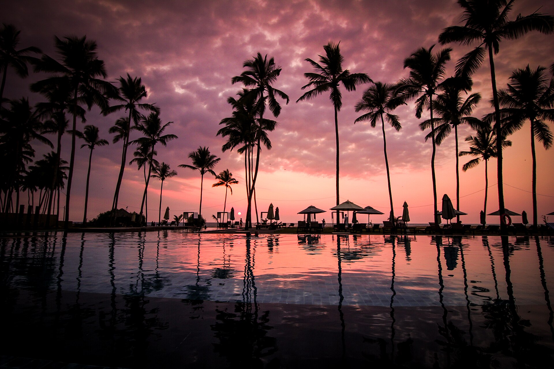 Resort pool lined with palm trees